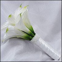 www.floristic.ru - .    