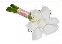 www.floristic.ru - .    