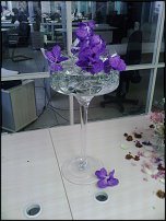 www.floristic.ru - .  . ..20-24.07.2009