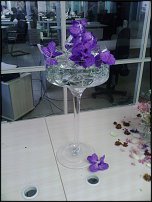 www.floristic.ru - .  . ..20-24.07.2009