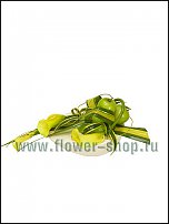 www.floristic.ru - .  