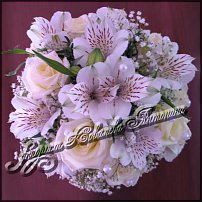 www.floristic.ru - .  .