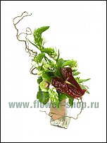 www.floristic.ru - .  