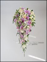 www.floristic.ru - .  .