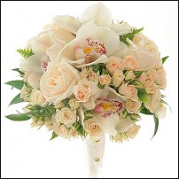 www.floristic.ru - .  .