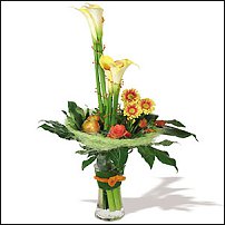 www.floristic.ru - .  