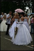 www.floristic.ru - .  .