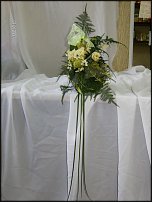 www.floristic.ru - .  .