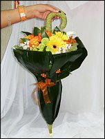 www.floristic.ru - .  .