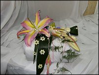 www.floristic.ru - .  .