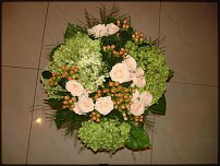 www.floristic.ru - .  