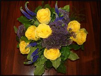 www.floristic.ru - .  