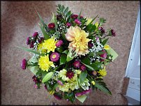 www.floristic.ru - .  .