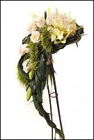 www.floristic.ru - .  .