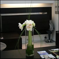 www.floristic.ru - . !!!!!