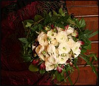 www.floristic.ru - .  .