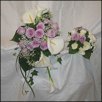 www.floristic.ru - .  .