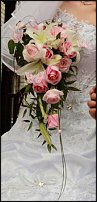 www.floristic.ru - .  .