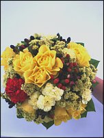 www.floristic.ru - .  