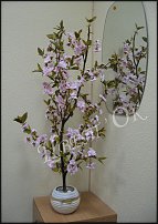 www.floristic.ru - .  