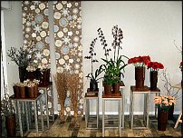 www.floristic.ru - .       - ?