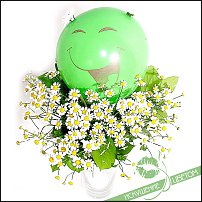 www.floristic.ru - .   1 