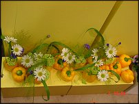 www.floristic.ru - .       - ?