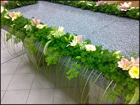 www.floristic.ru - .  