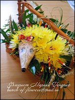 www.floristic.ru - .   ....