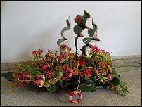 www.floristic.ru - .   ....