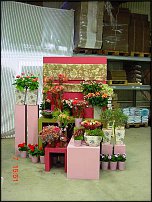 www.floristic.ru - .       - ?