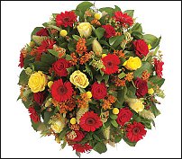 www.floristic.ru - .  