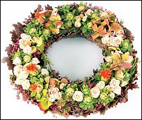 www.floristic.ru - .  