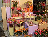 www.floristic.ru - .       - ?