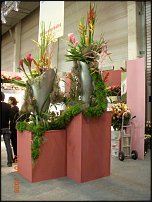 www.floristic.ru - . 