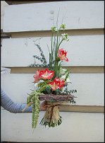 www.floristic.ru - .  .