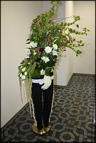 www.floristic.ru - .   ""