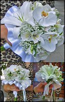 www.floristic.ru - .  .