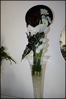 www.floristic.ru - .   ""