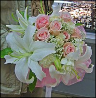 www.floristic.ru - .  .