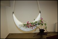 www.floristic.ru - .   ""