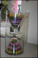 www.floristic.ru - .   ""