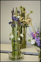 www.floristic.ru - .   ""