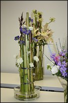 www.floristic.ru - .   ""