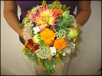 www.floristic.ru - .  