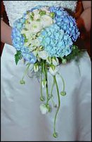 www.floristic.ru - .  .