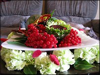 www.floristic.ru - . , ....