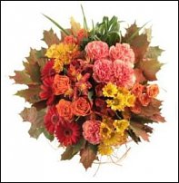 www.floristic.ru - .   1 