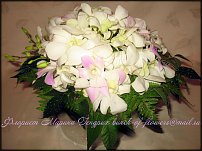 www.floristic.ru - .  .