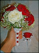 www.floristic.ru - .  .